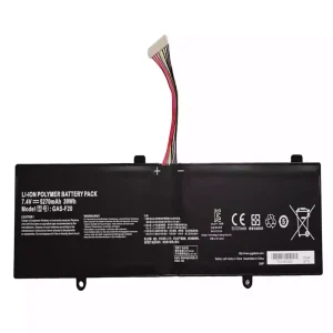Batterij laptop accu voor GAS-F20
